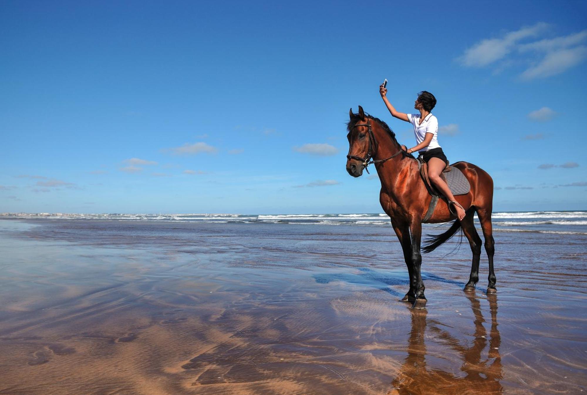 Pullman Mazagan Royal Golf & Spa El Jadida Εξωτερικό φωτογραφία A horse on the beach