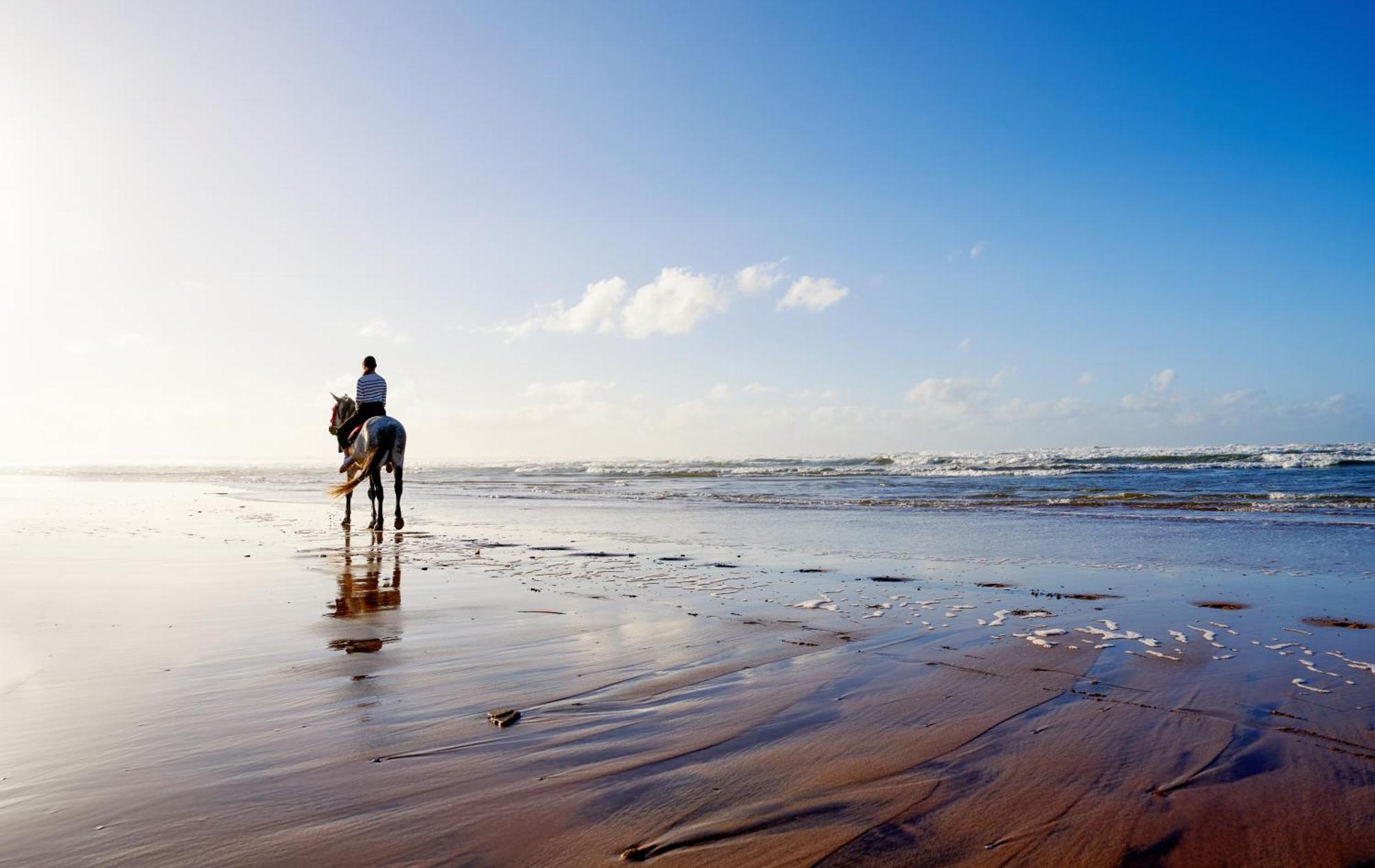 Pullman Mazagan Royal Golf & Spa El Jadida Εξωτερικό φωτογραφία Beach in Tangier